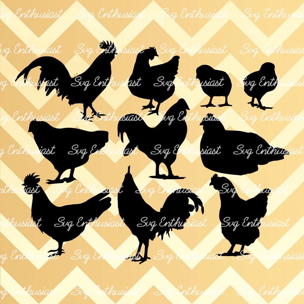 Chicken - Rooster - Chick silhouette SVG PNG DXF Bundle